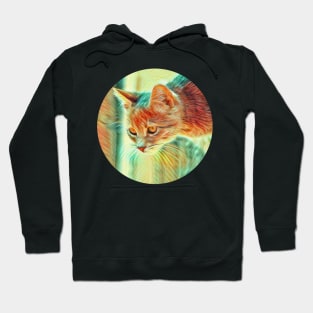 Curious floppy cat Hoodie